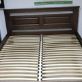Plants: image 1 0f 4 thumb