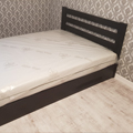 Plants: image 1 0f 4 thumb